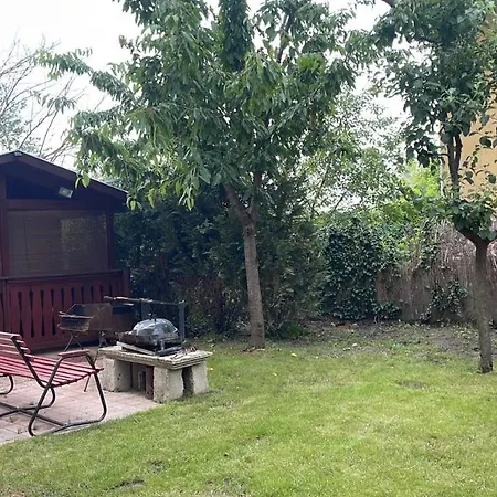 Adam Balatonföldvár