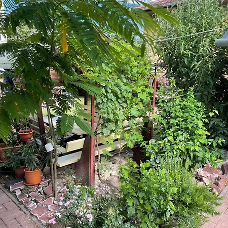 Adam Apartman Apartment